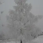 Dom Na Wzgorzu Polanica-Zdrój