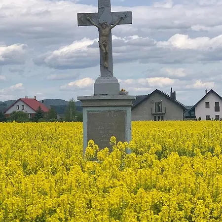 Dom Na Wzgorzu * ポラニツァ・ズドゥルイ