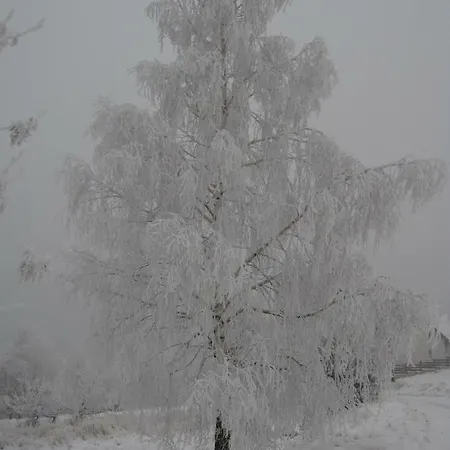 Dom Na Wzgorzu ポラニツァ・ズドゥルイ