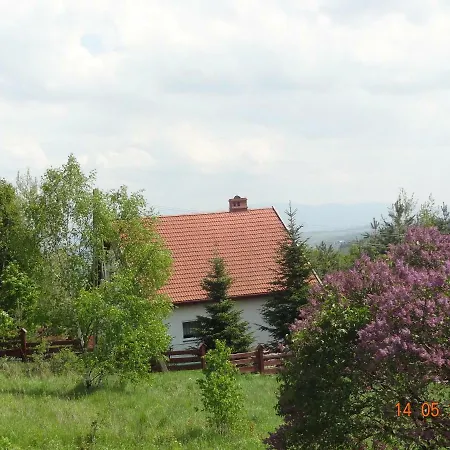 Dom Na Wzgorzu 別荘 *