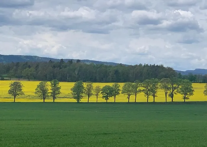 Prázdninový dům Dom Na Wzgorzu Polanica-Zdrój