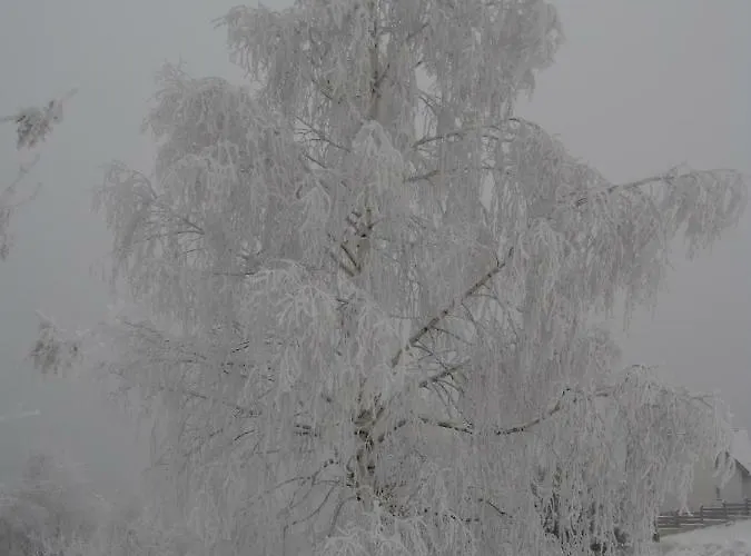 Dom Na Wzgorzu Polanica-Zdrój